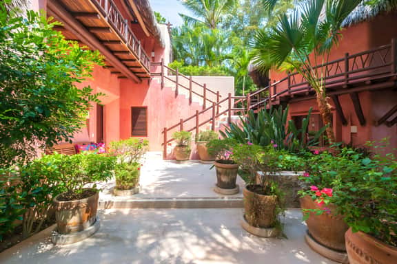 Estate Venado